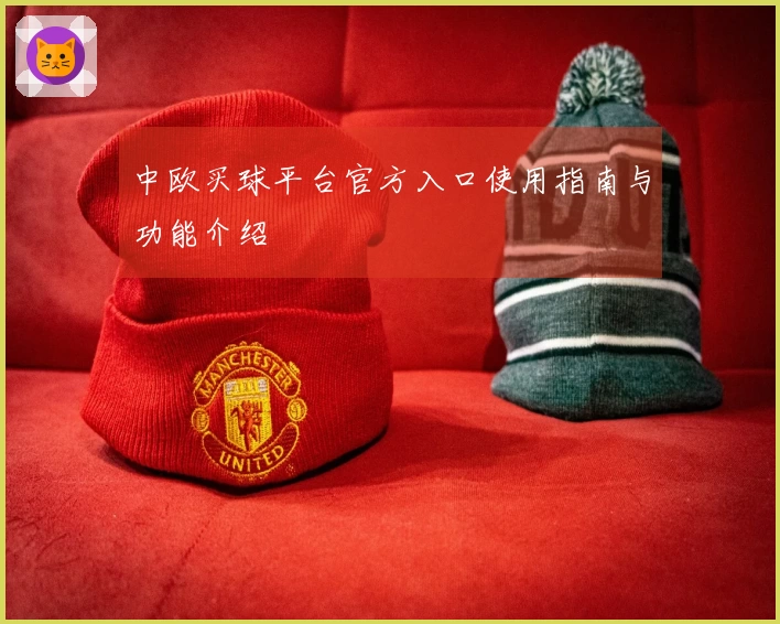中欧买球平台官方入口使用指南与功能介绍