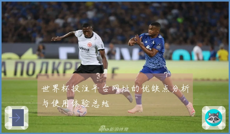 世界杯投注平台网址的优缺点分析与使用体验总结