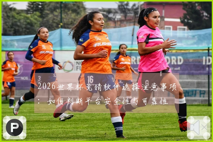 2026世界杯竞猜软件选择注意事项：如何判断平台安全性与可靠性