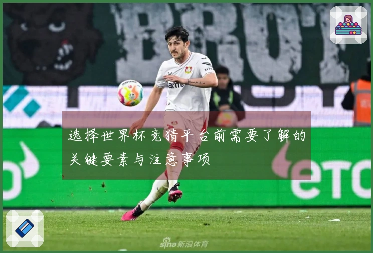 选择世界杯竞猜平台前需要了解的关键要素与注意事项