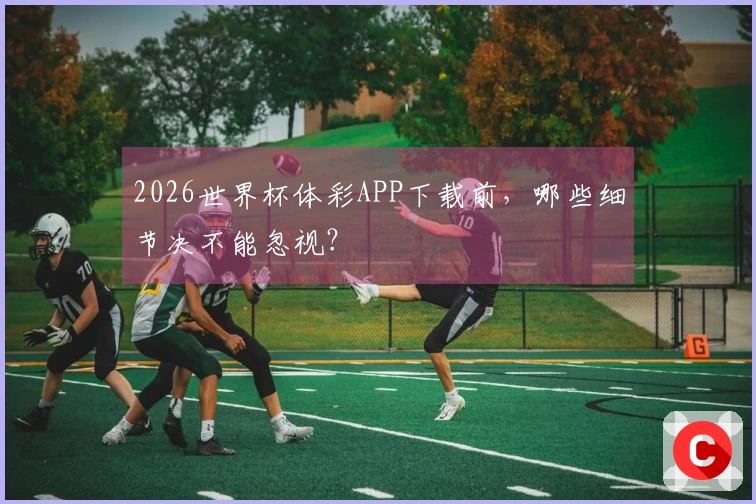 2026世界杯体彩APP下载前，哪些细节决不能忽视？
