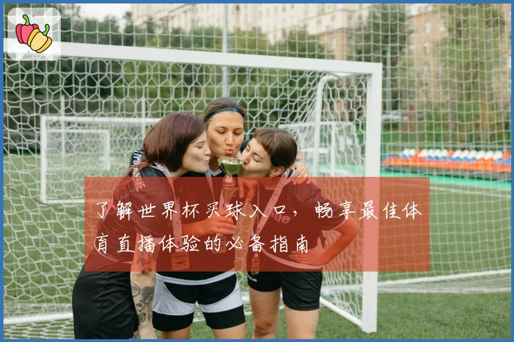 了解世界杯买球入口，畅享最佳体育直播体验的必备指南
