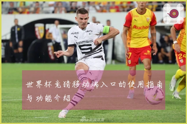 世界杯竞猜移动端入口的使用指南与功能介绍
