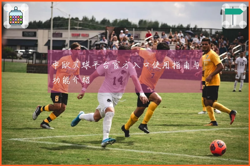 中欧买球平台官方入口使用指南与功能介绍