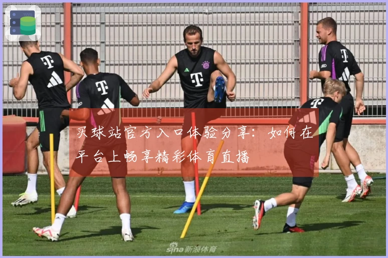 买球站官方入口体验分享:如何在平台上畅享精彩体育直播