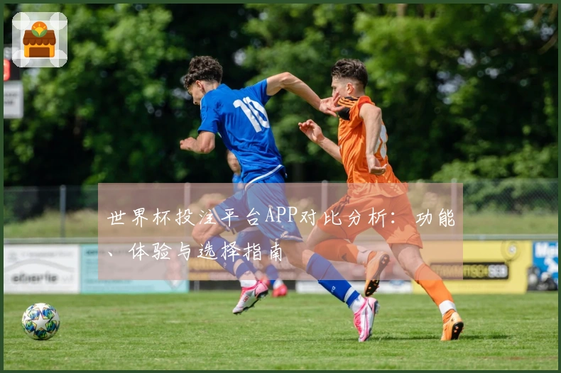 世界杯投注平台APP对比分析：功能、体验与选择指南