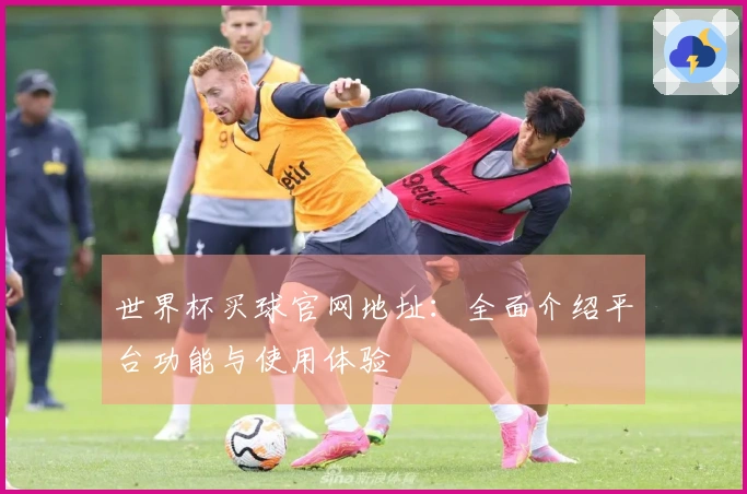 世界杯买球官网地址：全面介绍平台功能与使用体验