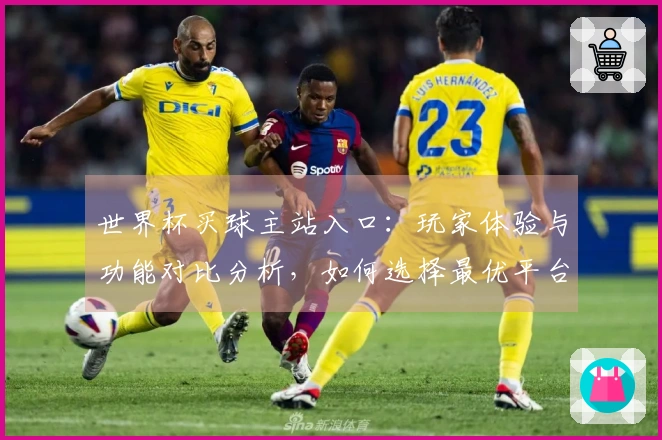 世界杯买球主站入口：玩家体验与功能对比分析，如何选择最优平台？